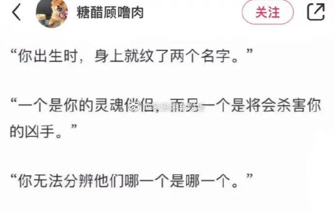 装逼翻车现场14这猫是穿了摇粒绒吧,像个毛绒玩具@文科班校花酱15