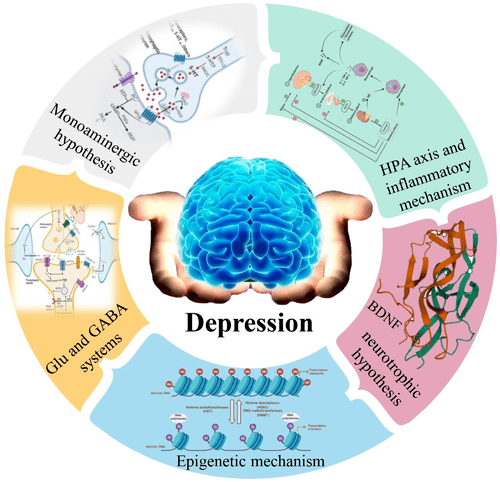 全面討論了目前抑鬱症的潛在生理和病理機制,以及候選藥物的臨床研究