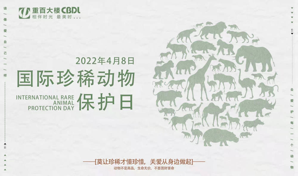 国际珍稀动物保护日 解放碑重百大楼发起动物关怀计划 