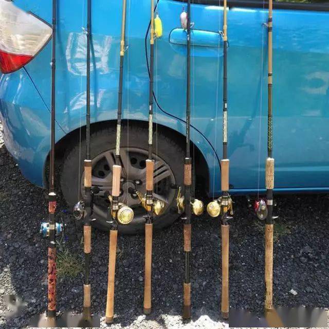 雷强粗竿粗线配强力渔轮中鱼后直接拉上岸此种钓法以暴力著称