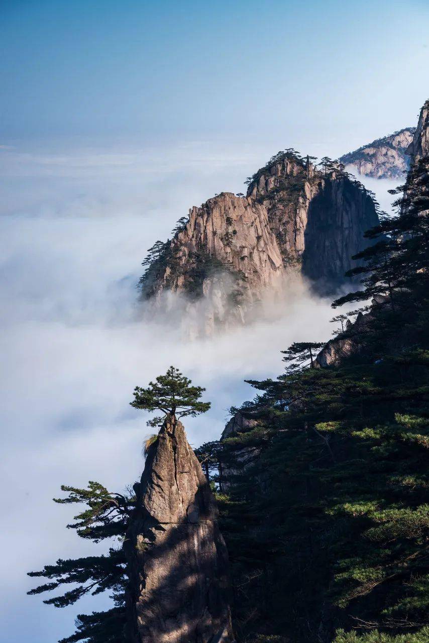 去徽州,与春天撞个满怀._安徽_黄山_景色