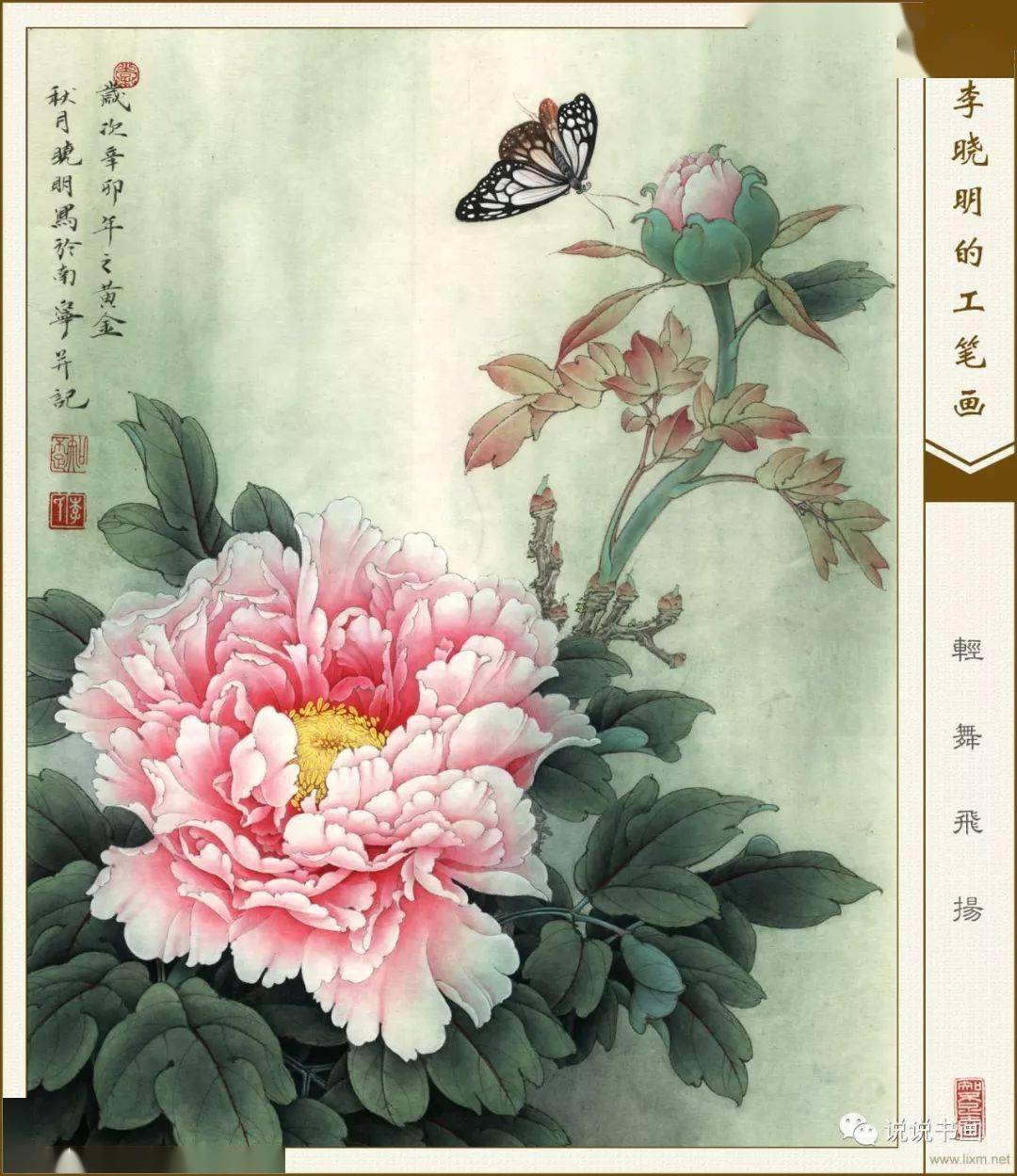 李晓明工笔花鸟53幅张张精彩漂亮