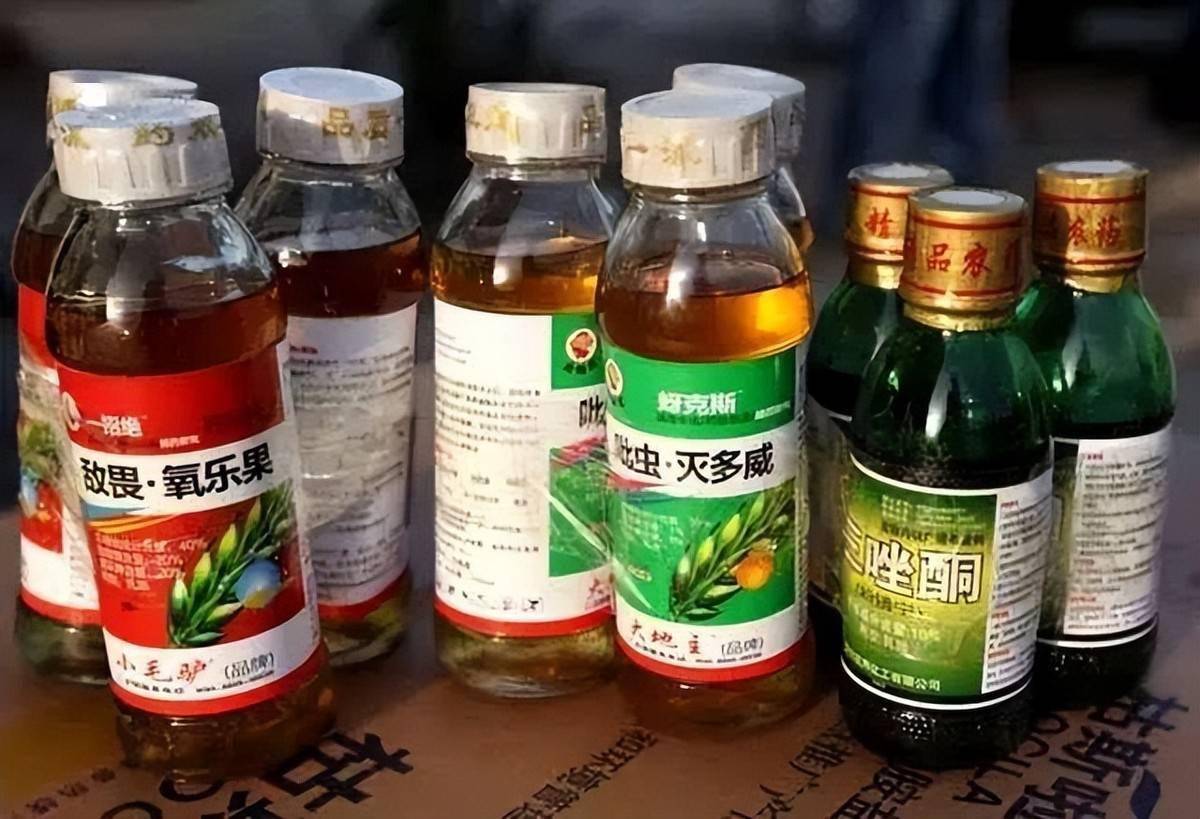 湖南嫂子彭艮凤,照顾瘫痪小叔子17年,小叔子:嫂子恩情来生再报_婆婆_