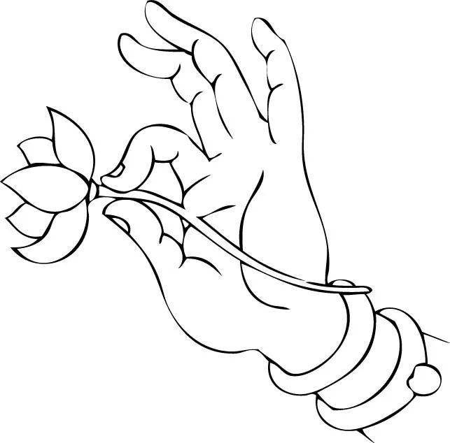 素材一组白描佛手75图能够为你挡住一切灾难