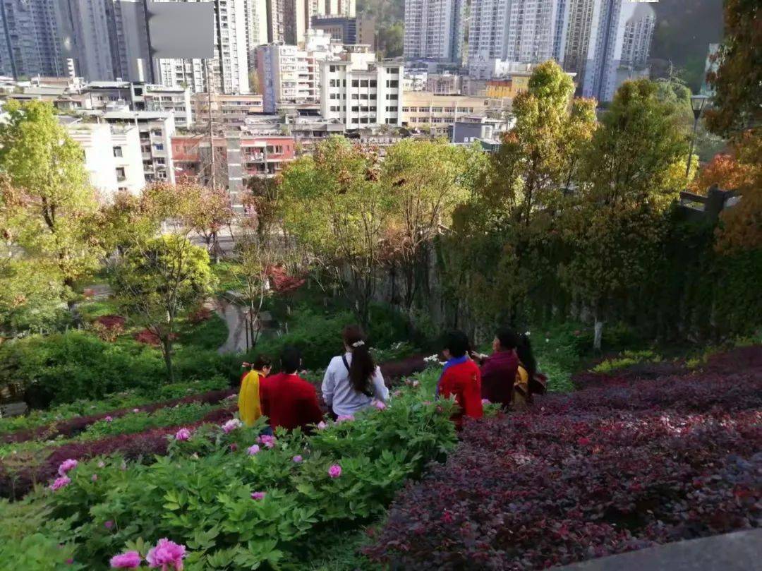文明城市共建共享 不文明行为曝光 赏花勿 伤 花文明也是景 市民 花朵 风景线