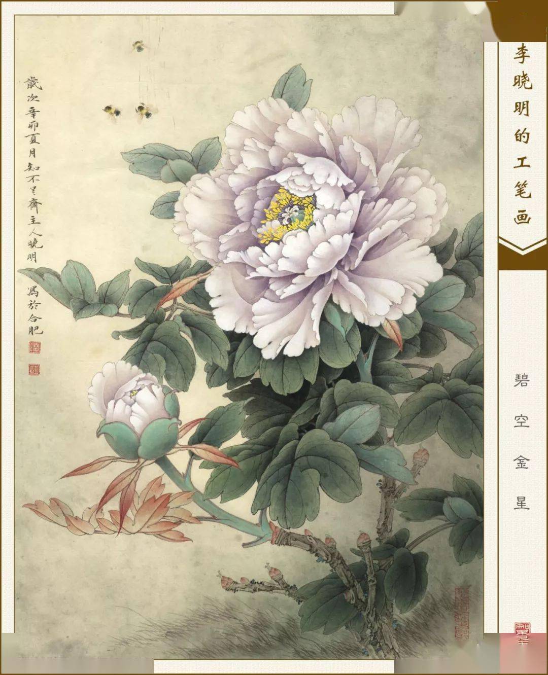 李晓明工笔花鸟53幅张张精彩漂亮