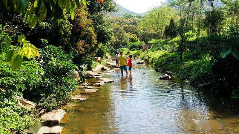 深圳:塘朗山深雲徑 撈魚賞花觀湖_梅林_水庫_路線