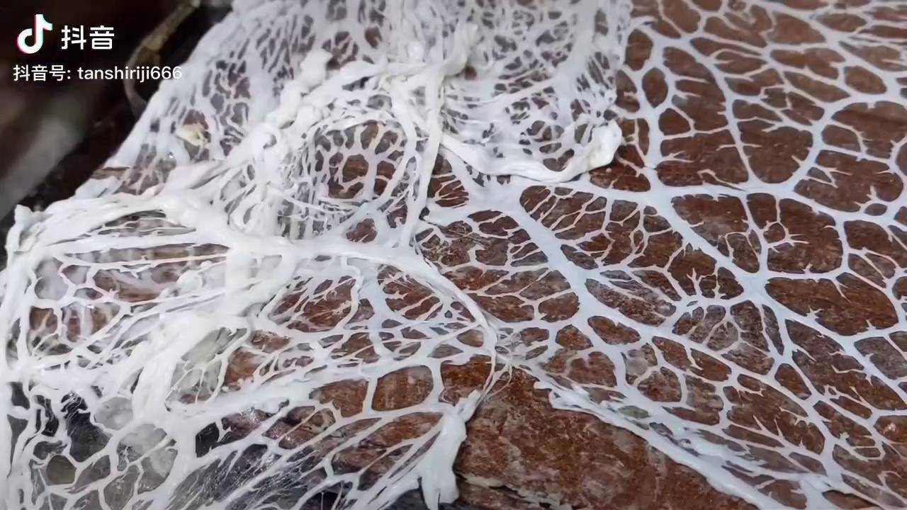 晶莹剔透如同蕾丝般的羊网油卷上肉馅口感美极了抖音美食创作人羊网油