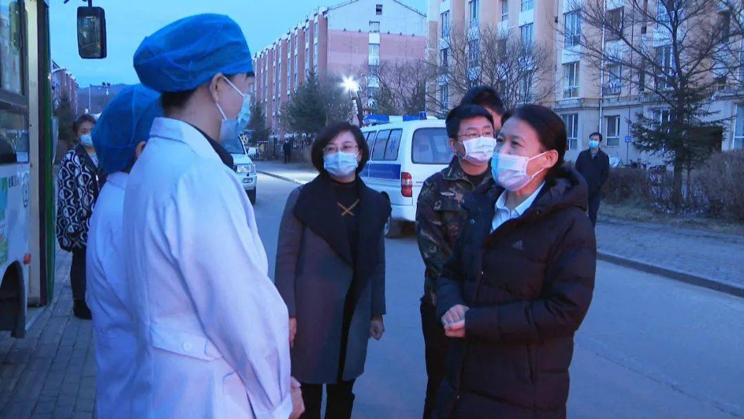 董文琴到乌翠区金林区大箐山县南岔县检查调研