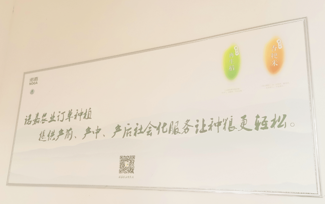 种植_胡传道_水稻