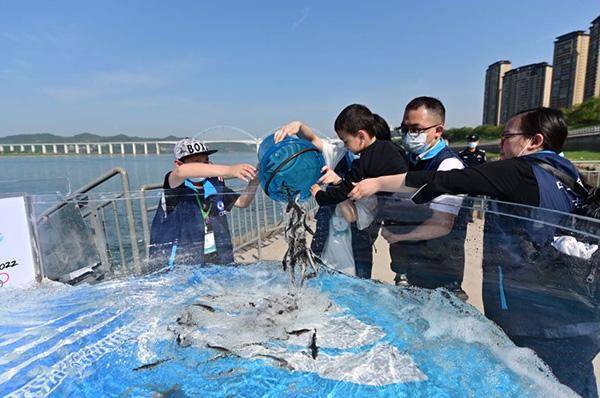 助力生物多样性保护 超20万尾“子二代”中华鲟放归长江