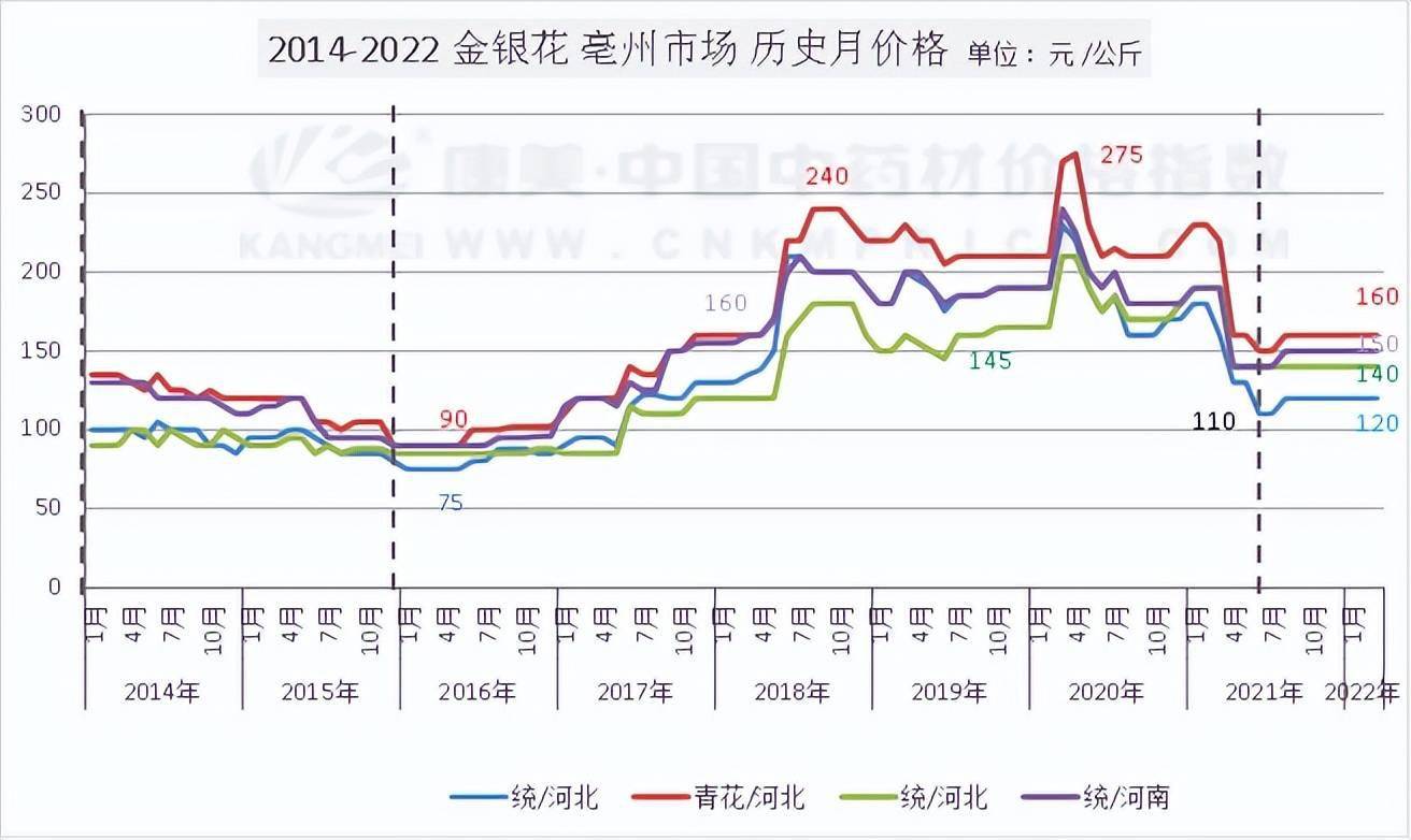 金银花临新走慢