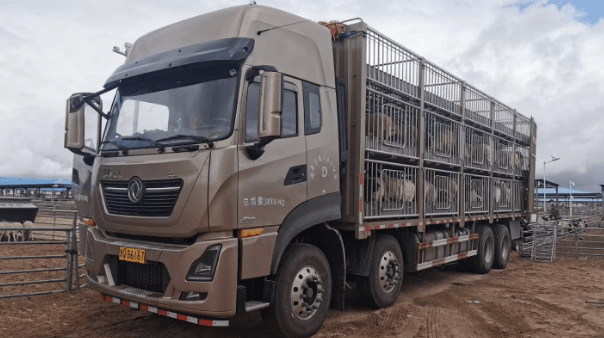 检疫_动物_车辆