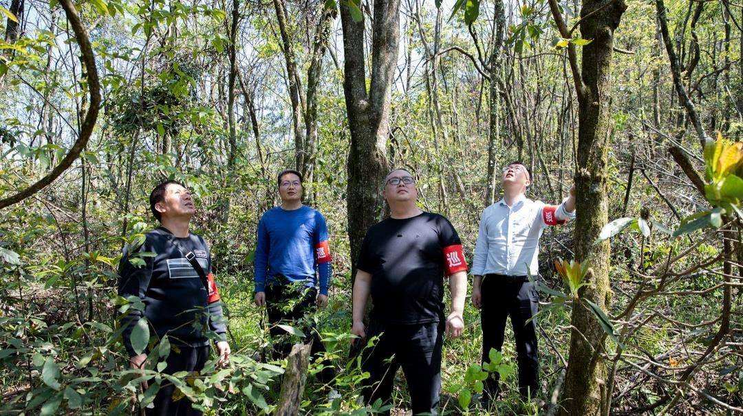 统战部长李林以"四不两直"的方式深入到夏层铺,粗石江,源口等乡镇检查