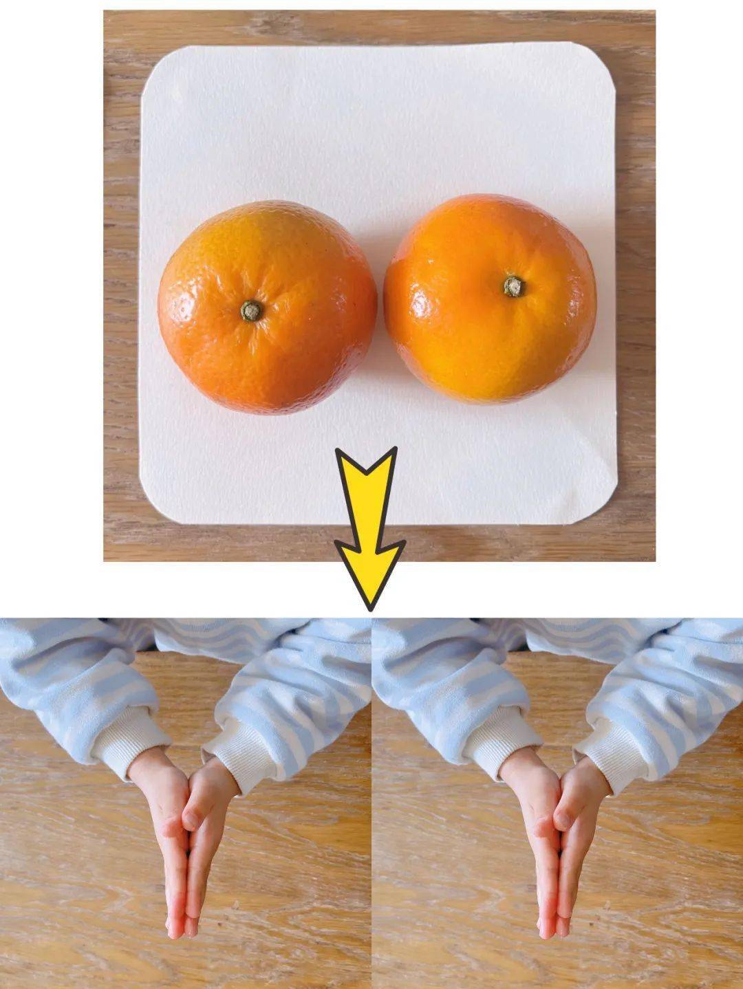 mqfj在线小学堂第二十一期音乐角音律宅宅乐玩转布谷鸟