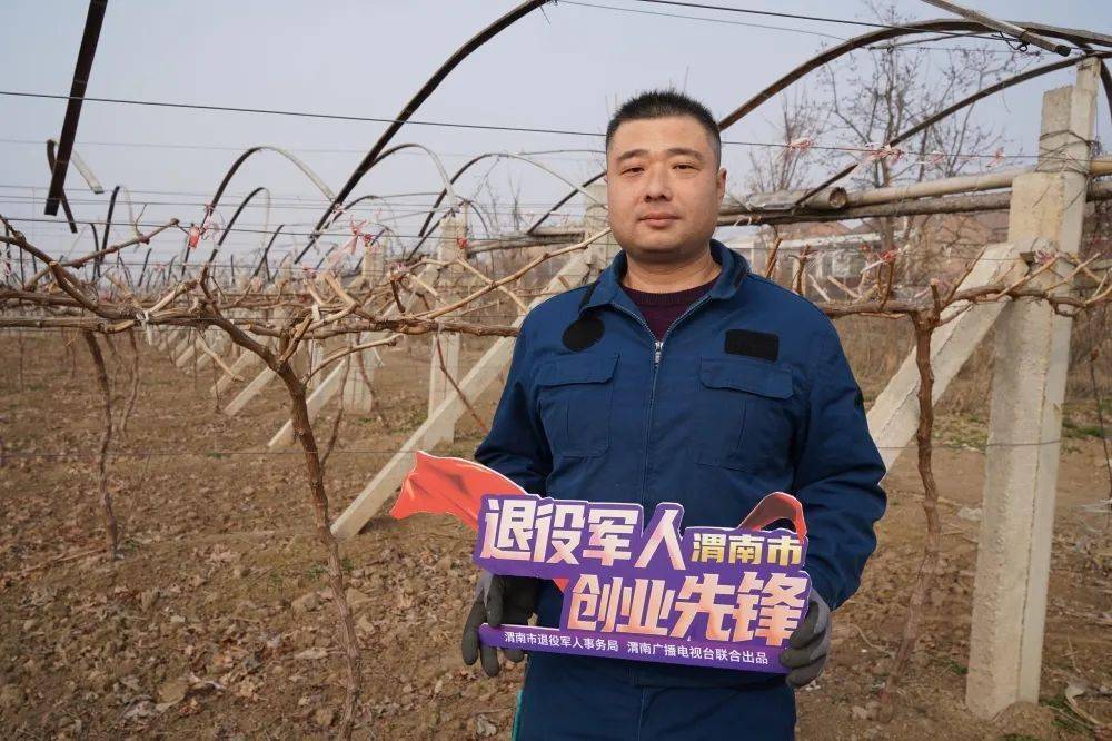 渭南市退役军人创业先锋闫亚昆小葡萄里的大梦想