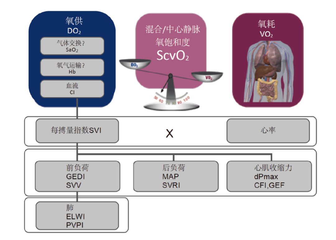 基础知识丨血流动力学监测，不只一个cvp