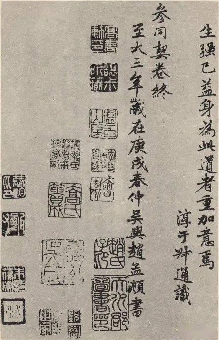 名品赏析元代赵孟頫小楷参同契