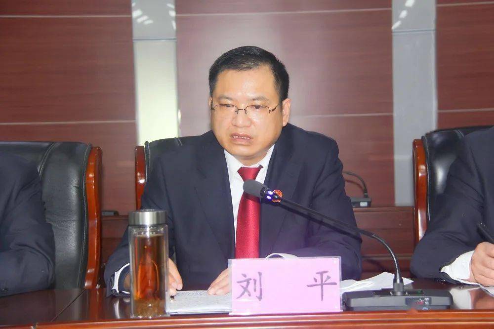 县法院党组书记,院长刘平出席会议并讲话.