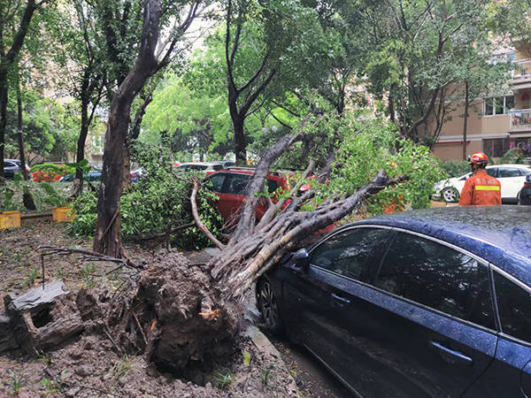 重庆风雹灾害已致6898人受灾，局地风力高达11级