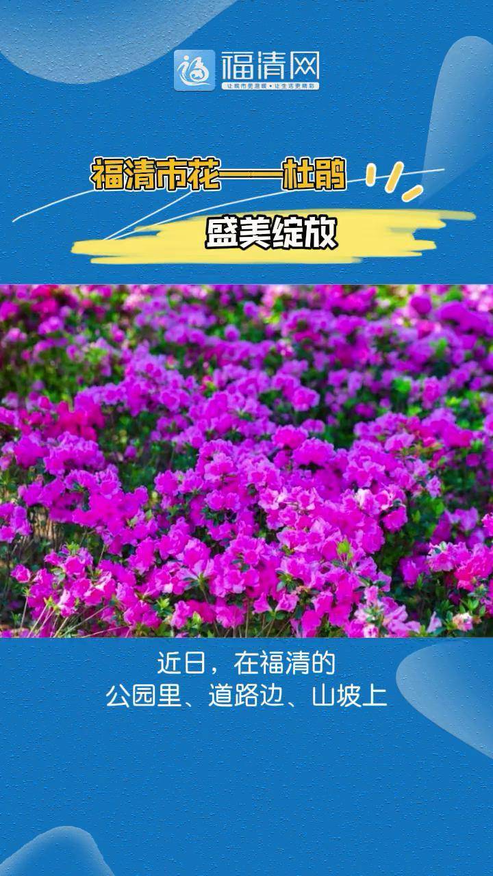 福清市市花图片