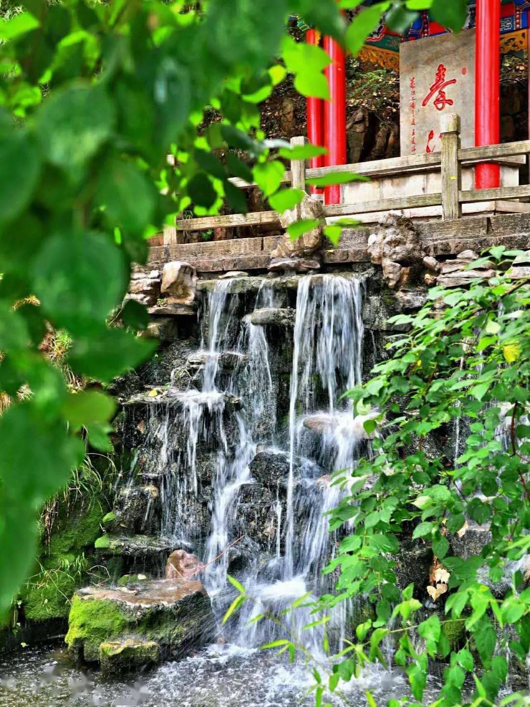 老龙湾风景区门票图片