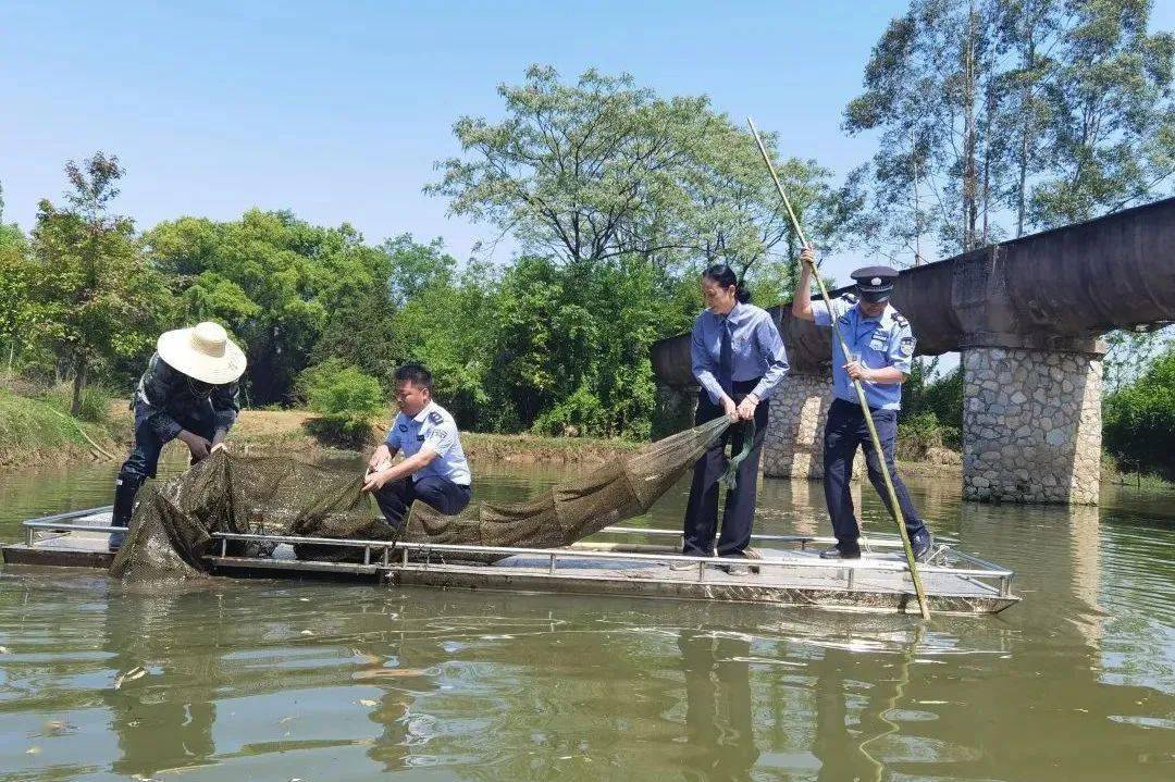 该湿地属于湖泊形的湿地,河湖相连,它有着调节气候,保持水源,净化水质