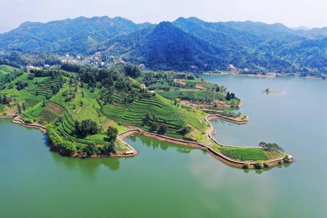 来金寨,在青山镇抱儿山中拥抱自然.