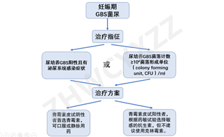 预防围产期b族链球菌病中国专家共识解读