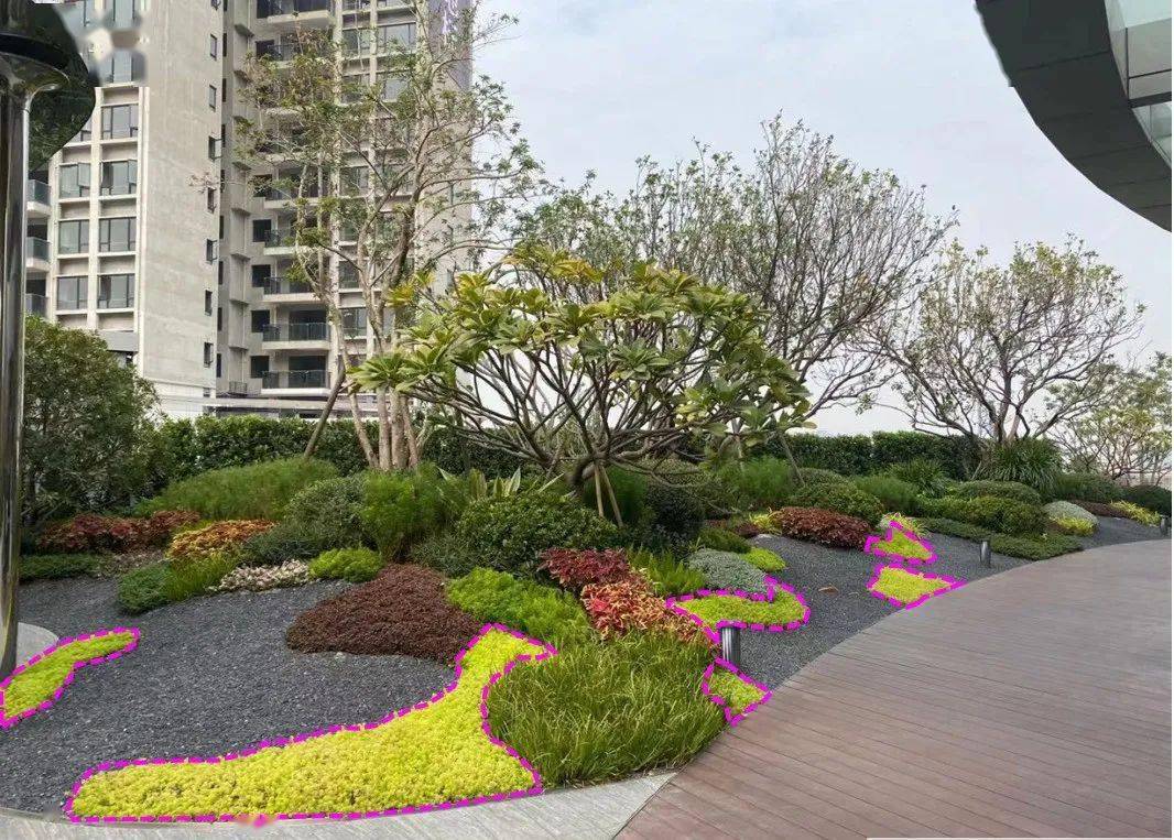 佛甲草的应用_砾石_空间_碰撞