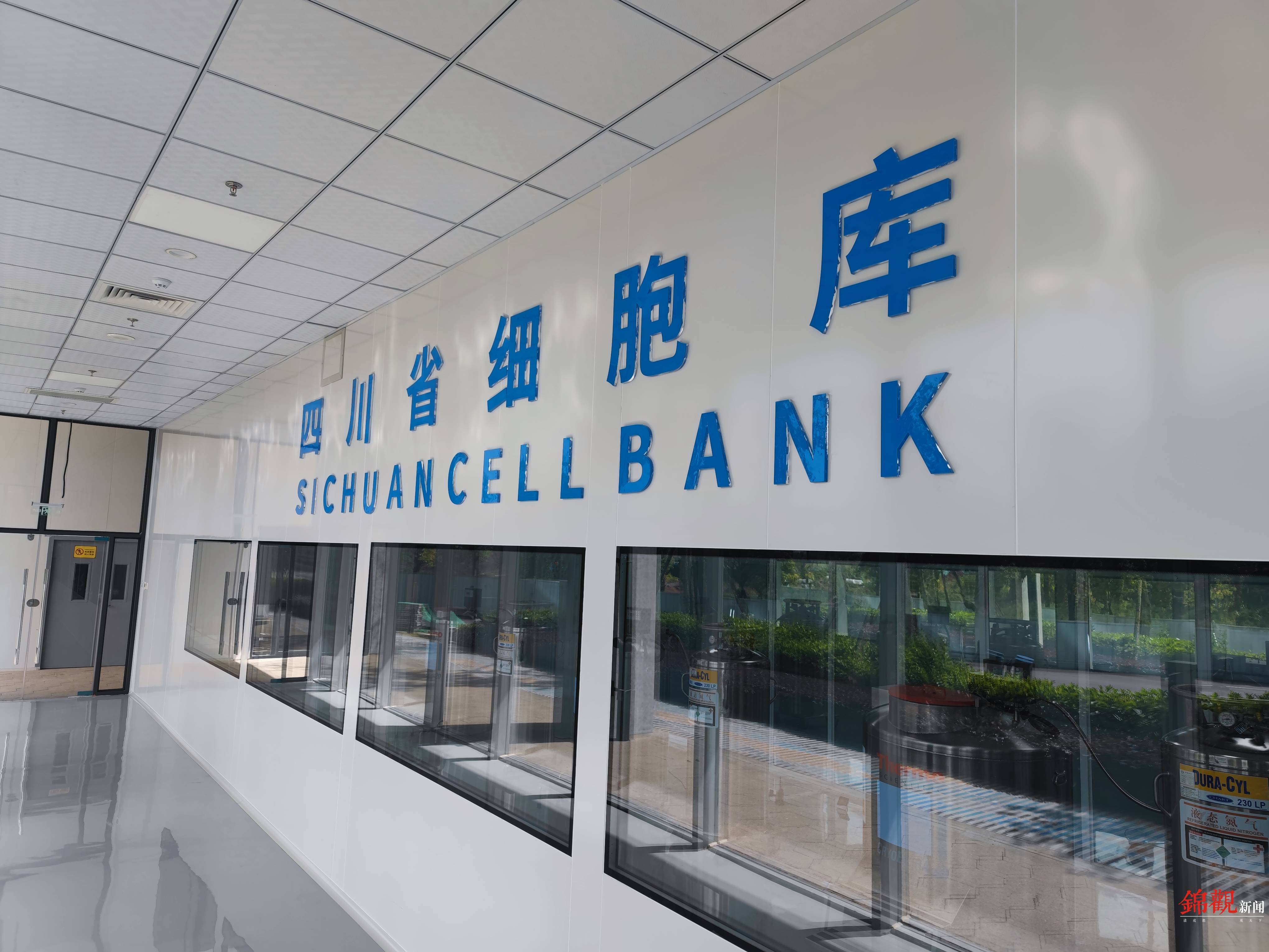 在一楼外侧透过玻璃窗,就能看见一排排的自动化细胞储存罐