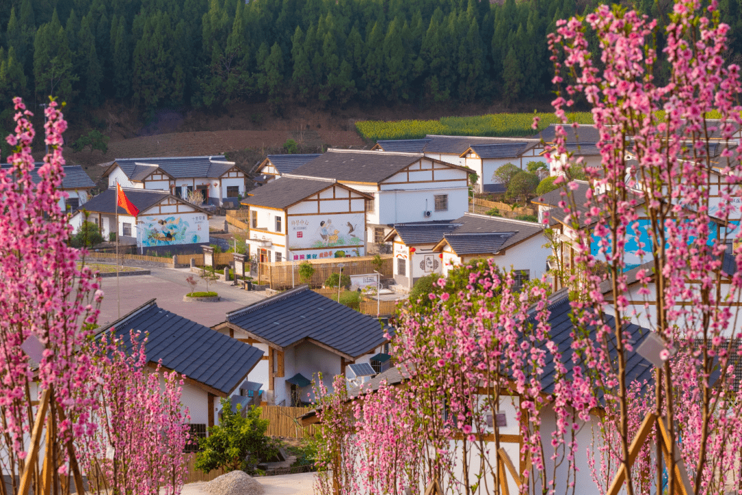 行走新巴蜀遂宁丨永和家园文农旅融合游客有看头村民有赚头