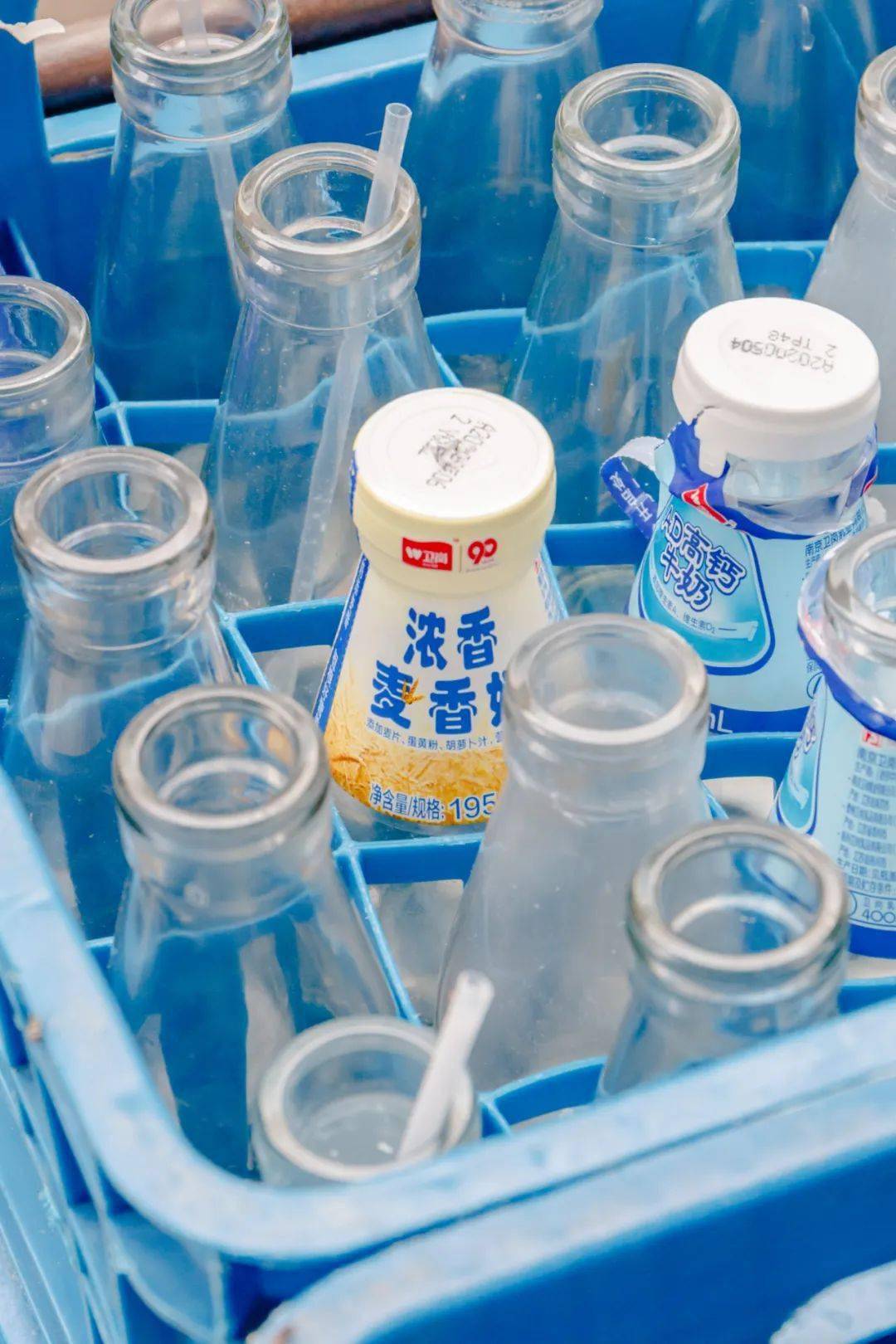 南师大:谢谢你,我的守护者_卫岗_牛奶_生活