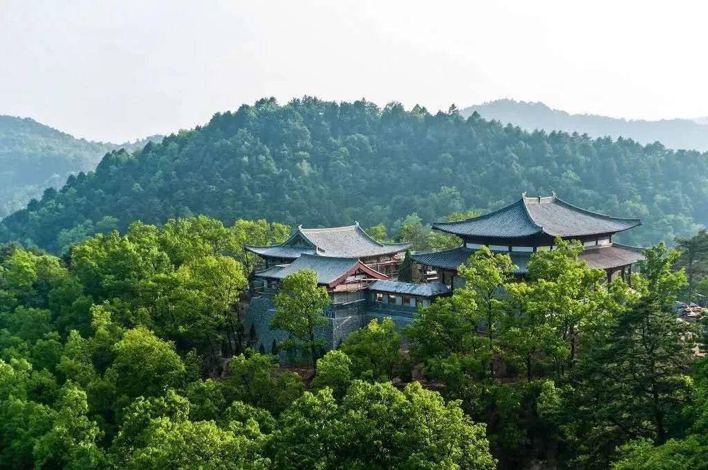 循花而行 墜入春日花海||黃陵這些美景,千萬別錯過_養生_陝西_中國