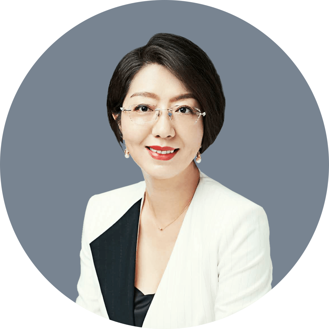 2. 律师代理建议