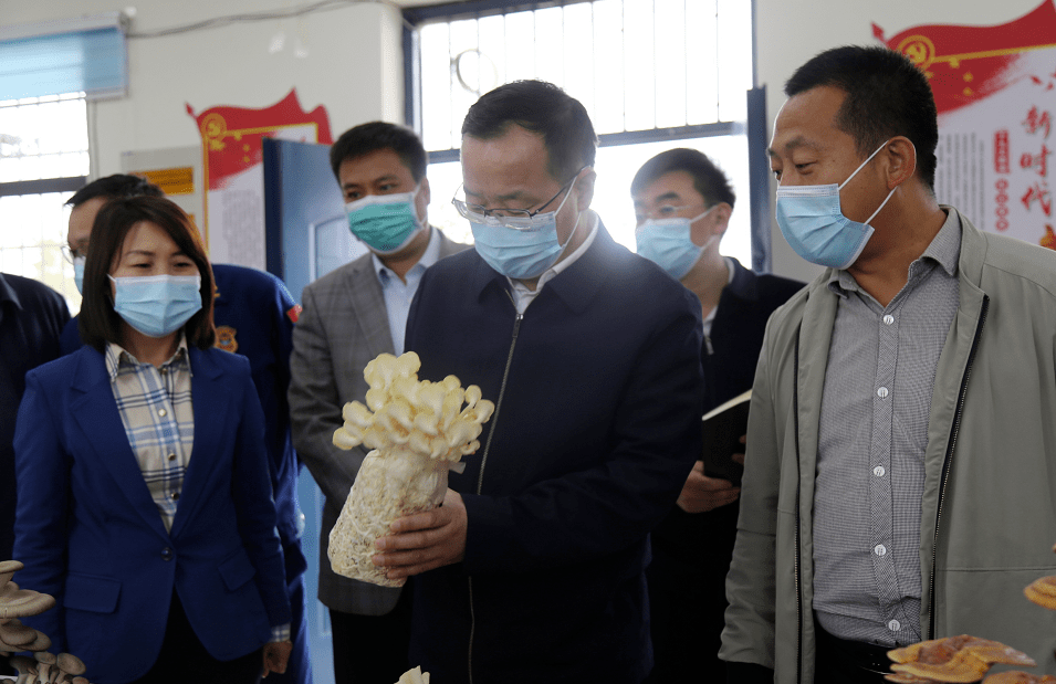 淮阳区委书记张建党带队调研乡镇疫情防控产业发展消防站建设工作