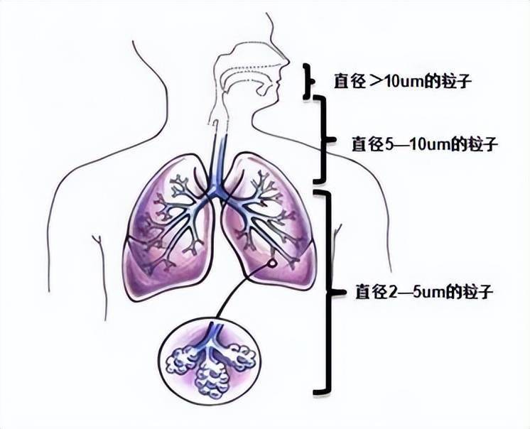 小儿雾化吸入知多少