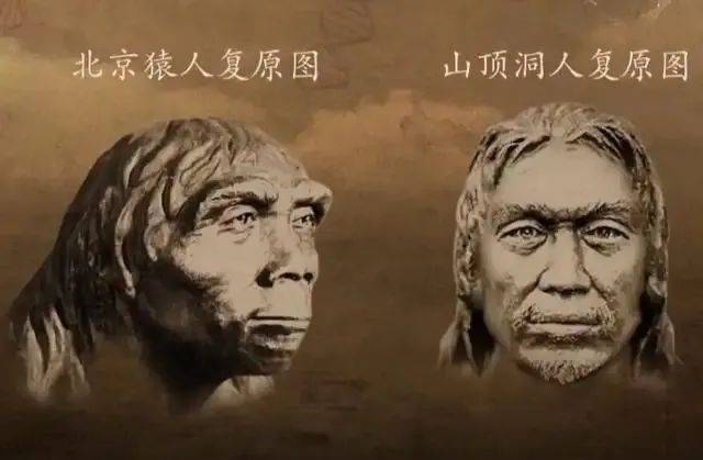 科学家预测人类10万年后的长相 网友 像进击的巨人 样子 进化 艾伦