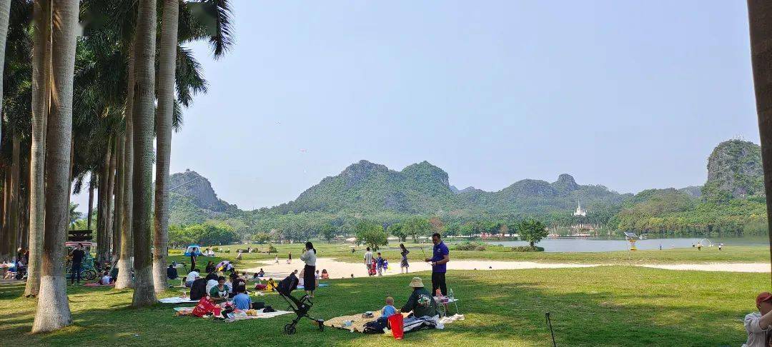 南宁花花大世界露营地,椰树林,白沙滩,湖边……假期安排上!