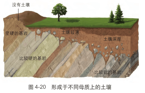 新教材土壤教学经典用图30张!_示意图_成土_中图