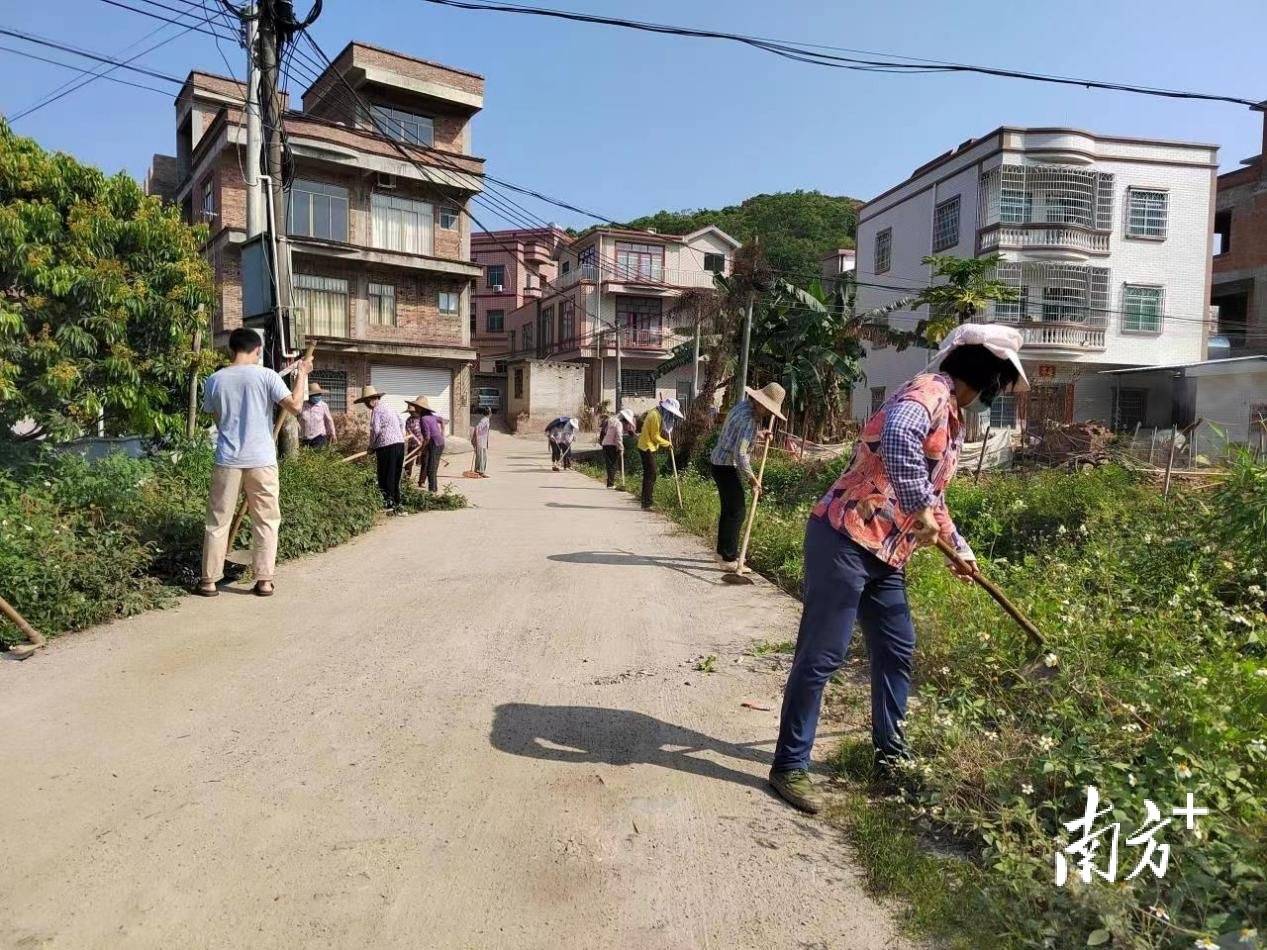 镇村联动党群携手高州曹江镇以爱国卫生运动刷新镇村颜值