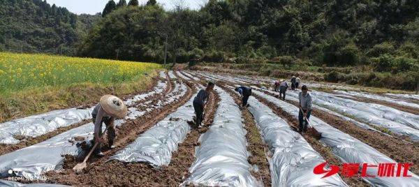 在春耕备耕中扛牢粮食安全政治责任访沅陵县委书记刘向阳