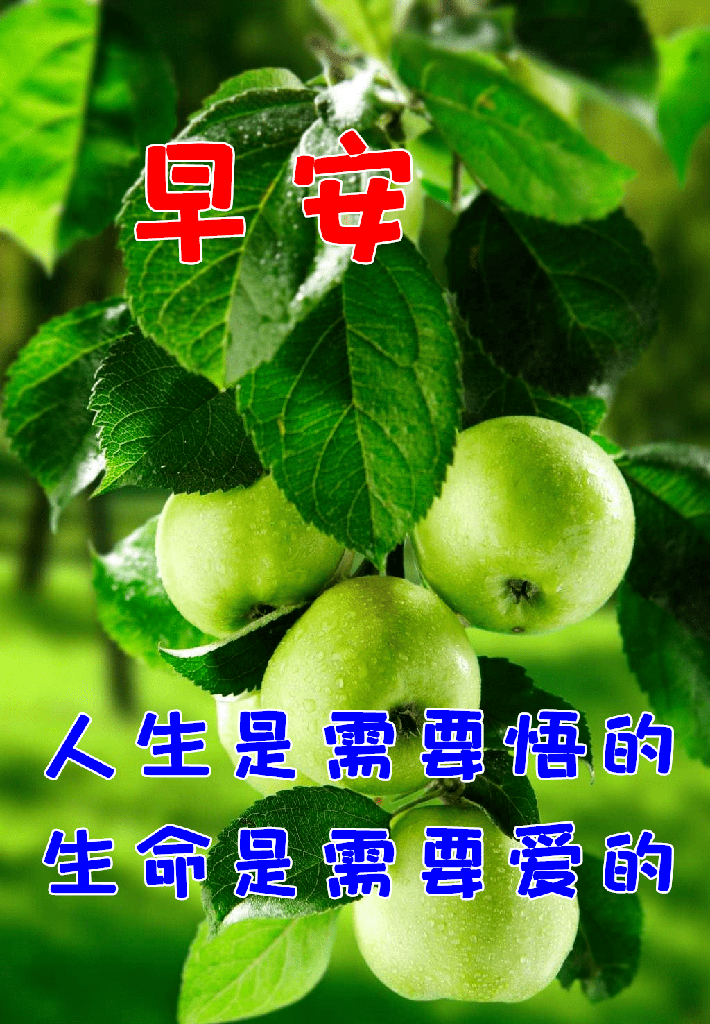 4月16日早上好祝福语图片大全问候动态表情图片大全