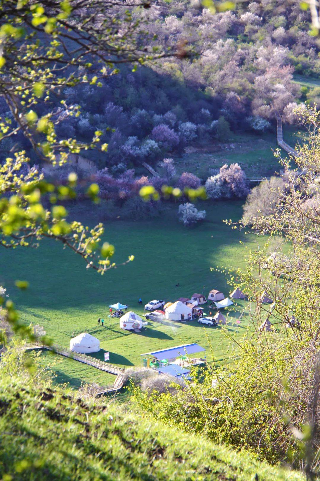原创春瞰伊犁中华福寿山