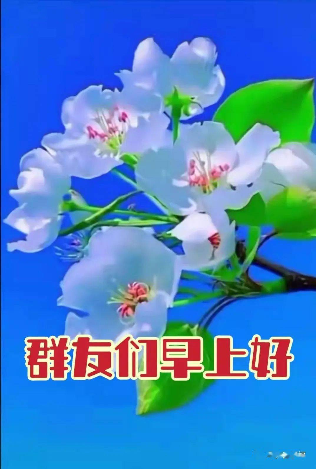 4月17日最新周末早上好动态表情图片大全春天早上好问候语句子