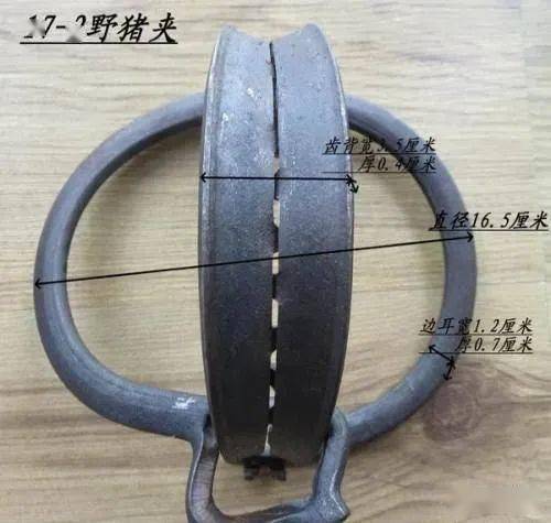 【値下可】台湾 発 猪頭皮 我家是〓人院 台湾人不是被〓大的！？ 値下可】台湾 発 猪頭皮 我家是〓人院 台湾人不是被〓大的