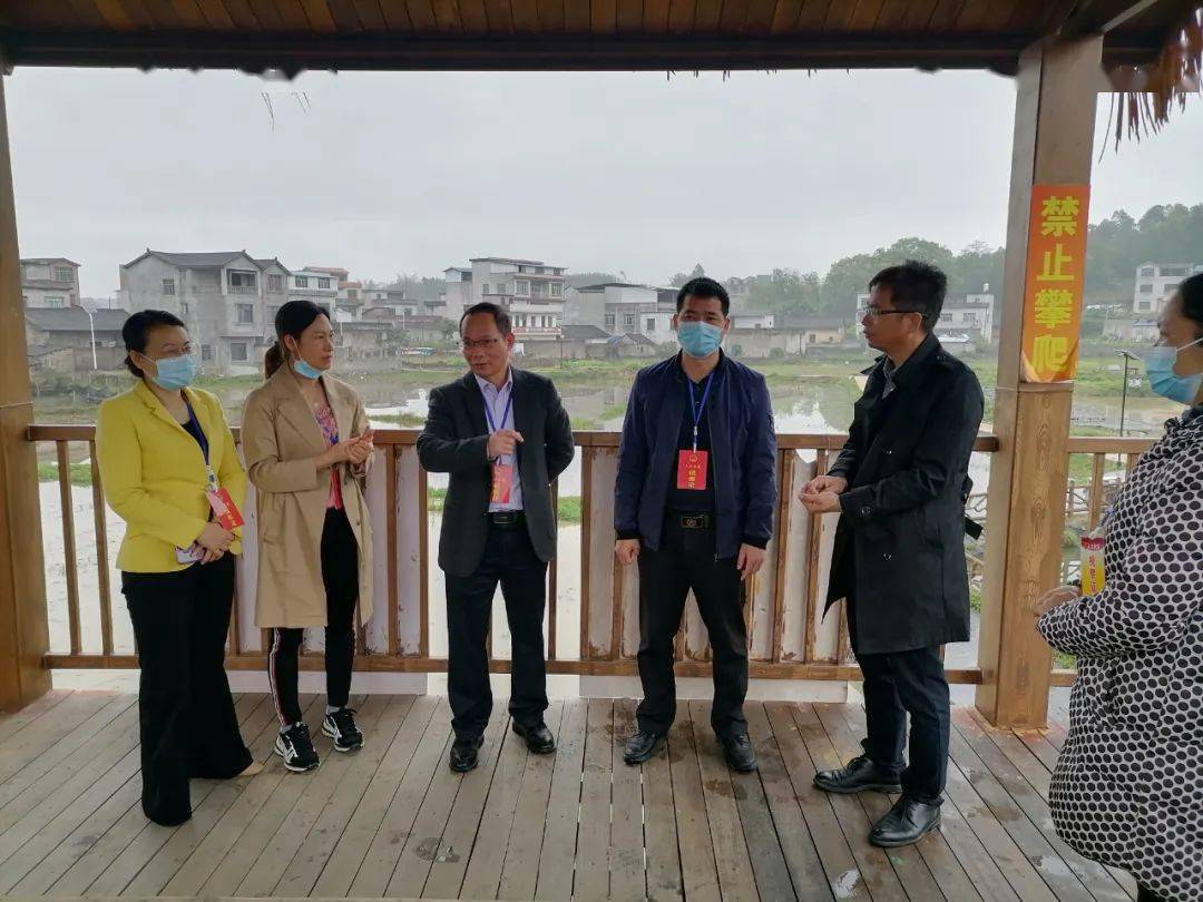 专题调研审议意见落实情况进行跟踪检查_县人大常委会_百丈乡_罗秀镇