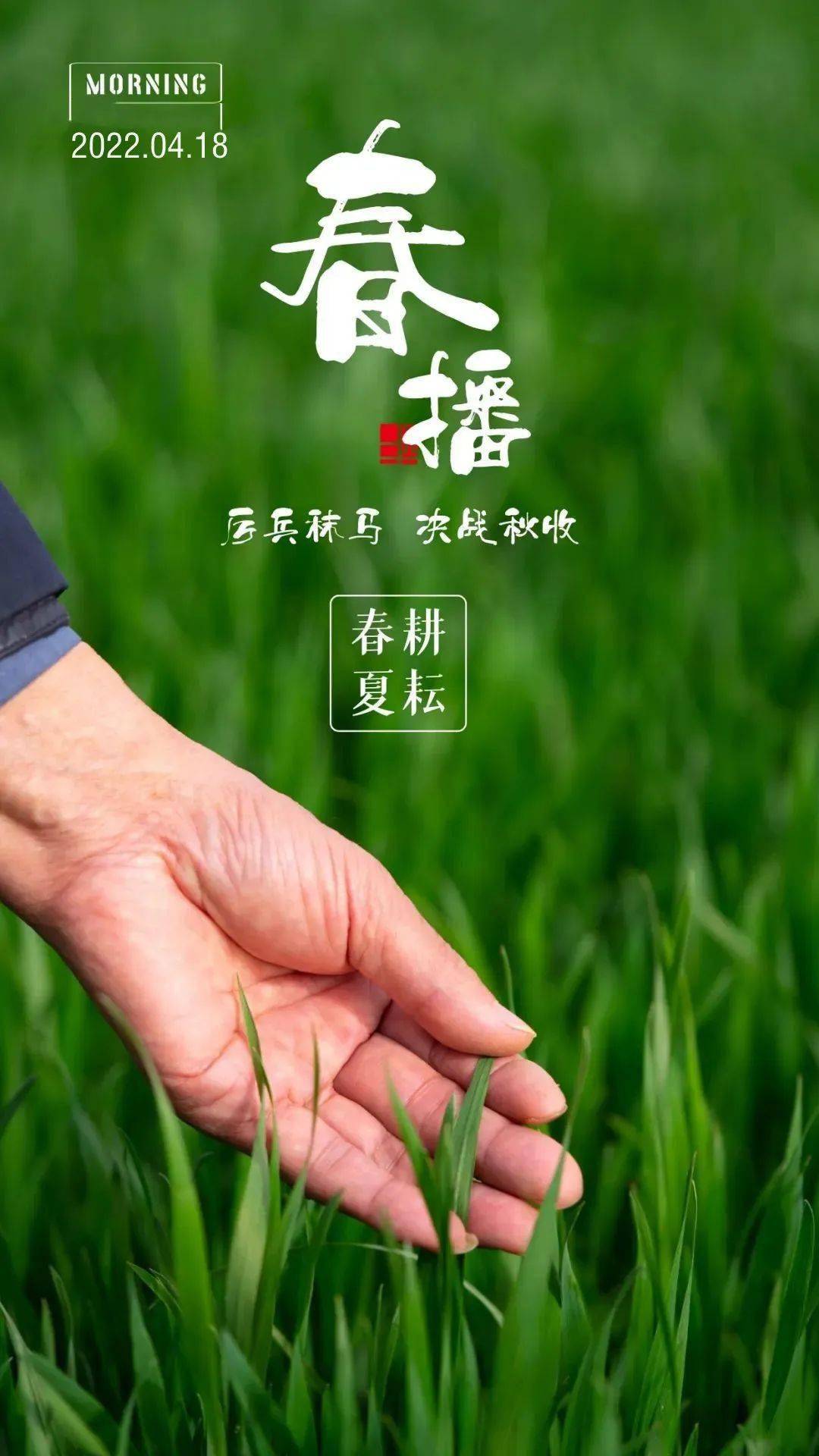 4月18号早安| 努力前行，向阳而生_搜狐网