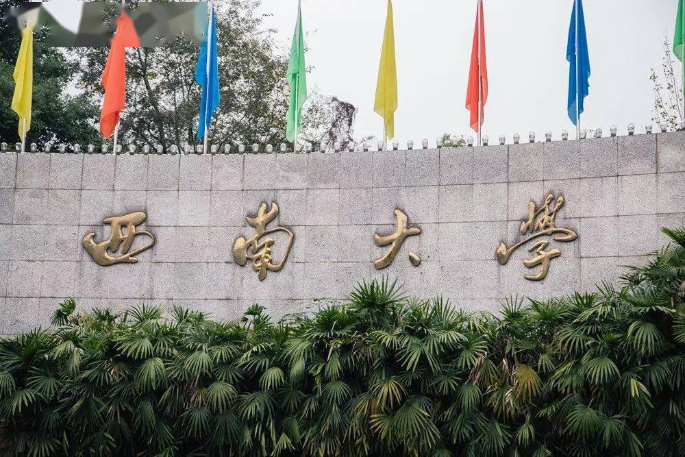 在重庆,最骄傲的是读过西南大学_西大_校园_缙云山