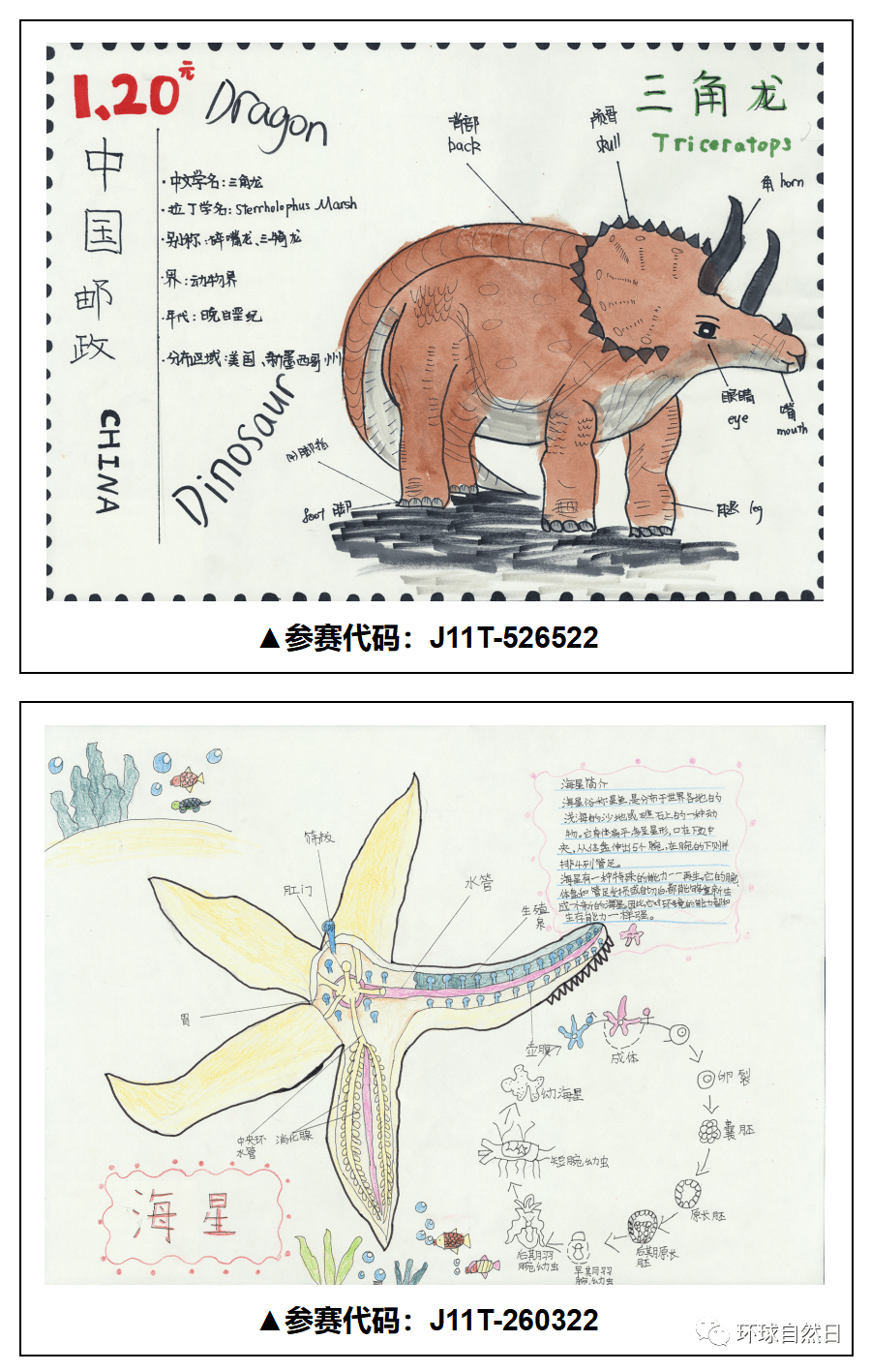 【官宣】环球自然日2021总决赛科普绘画作品赏析